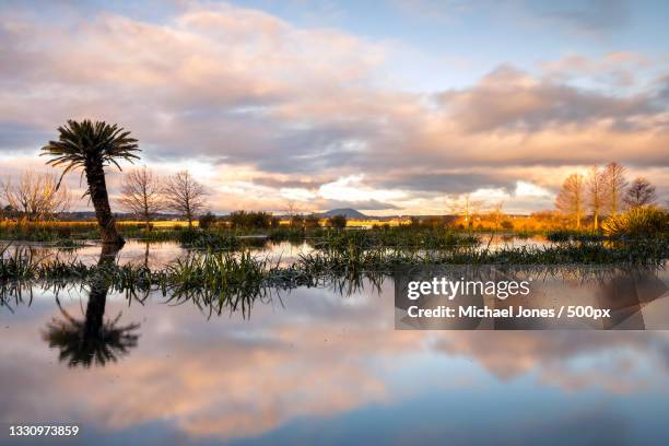 scenic view of lake against sky at sunset,lake wendouree,victoria,australia - lake victoria australia stock pictures, royalty-free photos & images