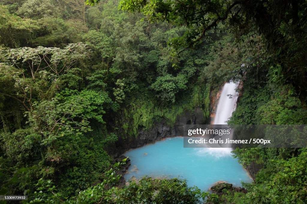 Scenic view of waterfall in forest