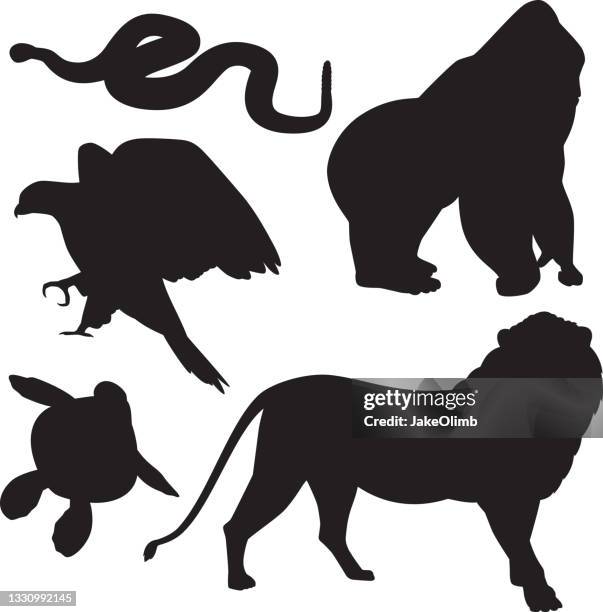 zoo tier silhouetten 2 - animal leg stock-grafiken, -clipart, -cartoons und -symbole