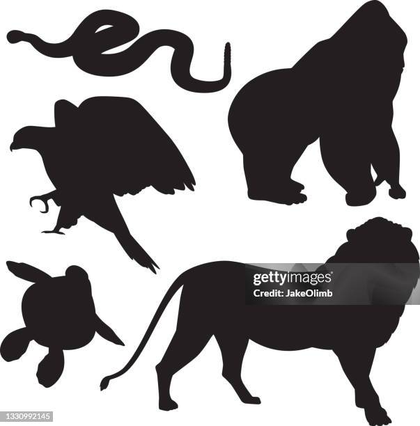 ilustraciones, imágenes clip art, dibujos animados e iconos de stock de zoo animal silhouettes 2 - gorila