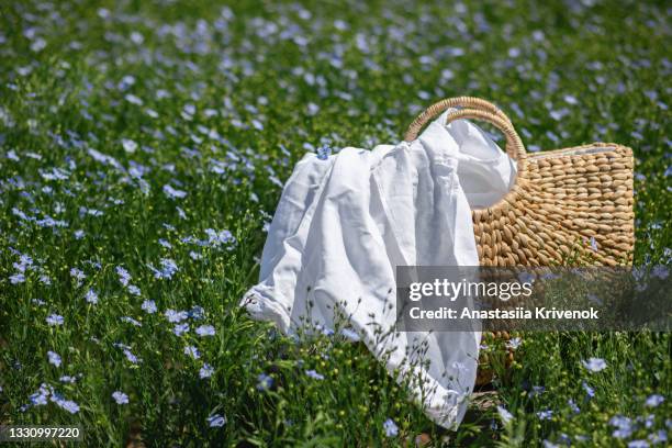 blue flax agriculture field with wicker basket and linen textile in it. - flax seed fotografías e imágenes de stock