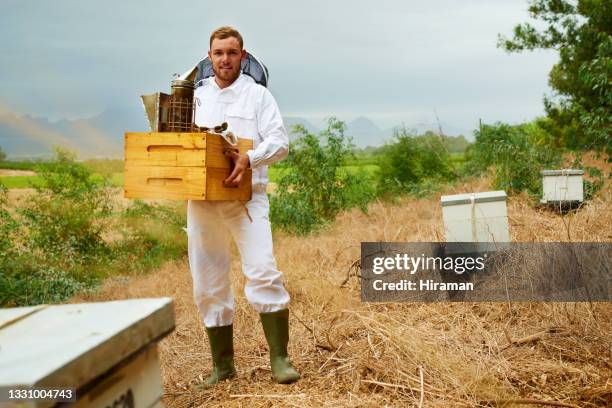 shot of a man working with a hive frame on a farm - apiculture stock pictures, royalty-free photos & images