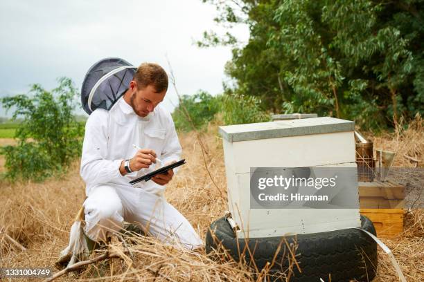 Bee Using A Computer 90 Beekeeper Computer Stock Photos, High-Res Pictures, and Images ...