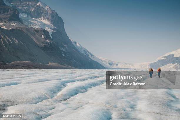 two mountain climber walk across the large and dramatic athabasca glacier - gletscher stock-fotos und bilder