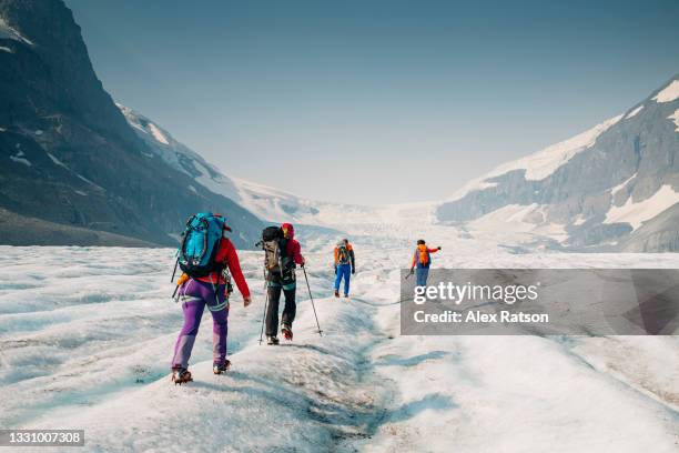 four mountaineers hike up the long and dramatic athabasca glacier - berg klimmen team stockfoto's en -beelden