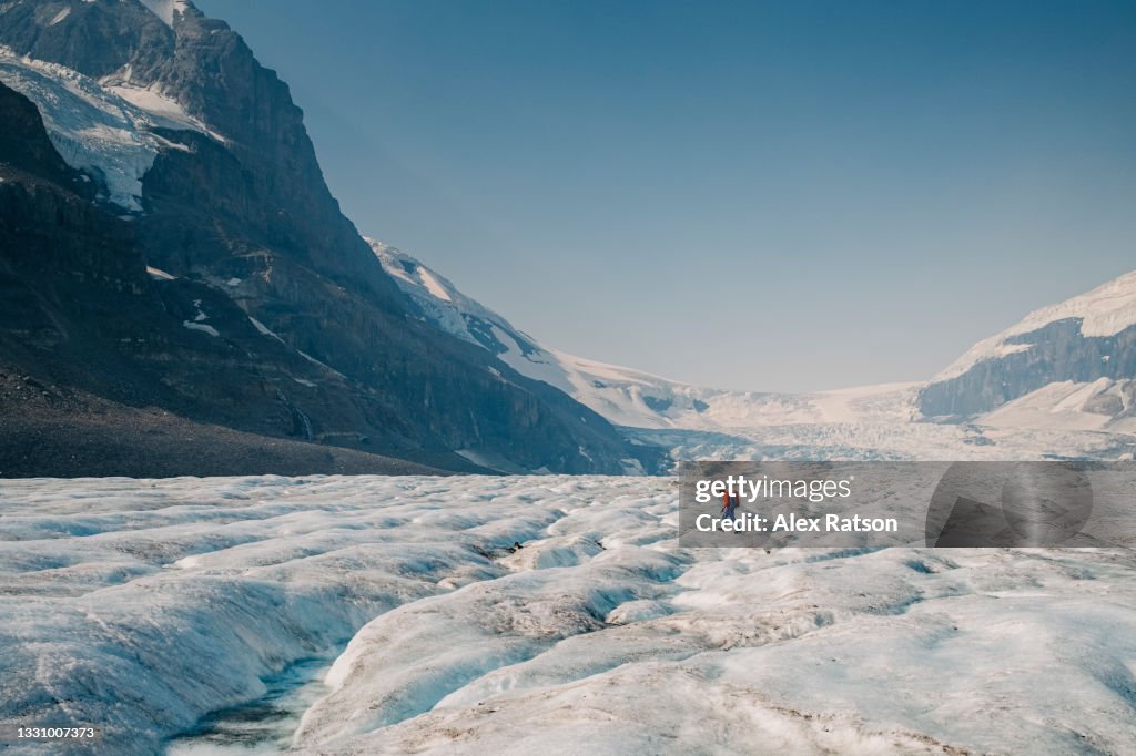 A lone mountaineer crosses the Athabasca Glacier near Jasper, Alberta
