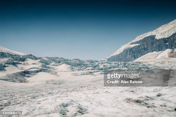 a crevassed section of the athabasca glacier near jasper, alberta - columbia icefield stock pictures, royalty-free photos & images