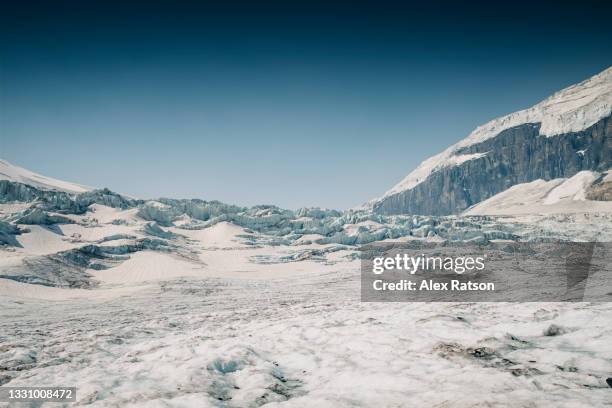 a crevassed section of the athabasca glacier near jasper, alberta - columbia icefield bildbanksfoton och bilder