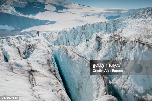 a mountaineer navigates past deep crevasses on a large glacier - canadian rocky mountains snow stock-fotos und bilder