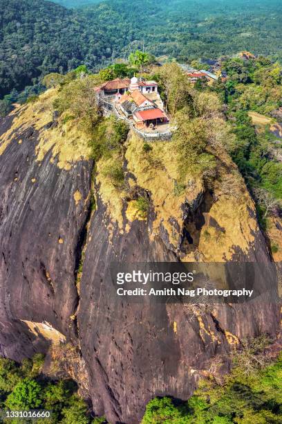 an aerial view of the ancient sri karinjeshwara temple - bangalore cityscape stock pictures, royalty-free photos & images