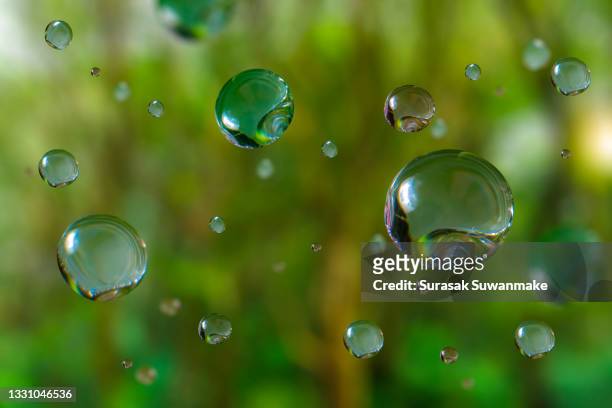 large water droplets in beautiful backlighting shine on green leaves in the sunlight. macro photography is a beautiful round bokeh. artistic image of the purity of nature. - raindrops stock-fotos und bilder