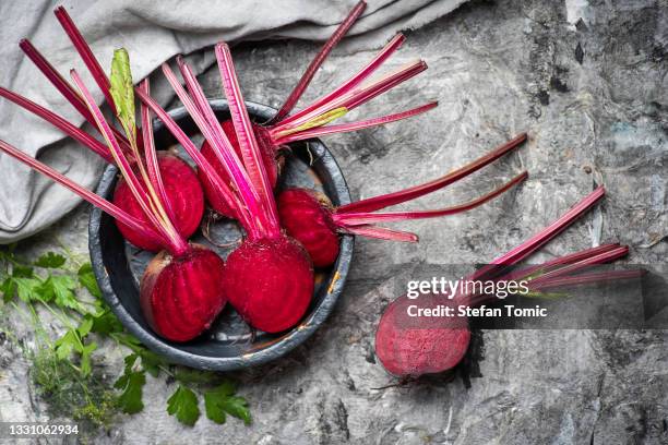 halved common beet vegetable beetroot healthy plant - bordeauxrood stockfoto's en -beelden