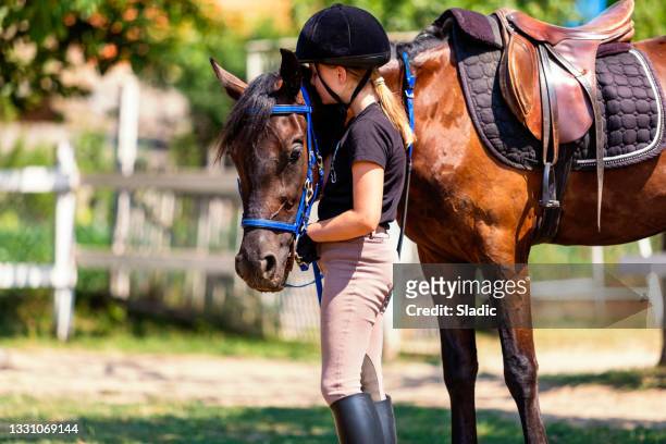 beautiful girl in riding gear with horse - all horse riding imagens e fotografias de stock