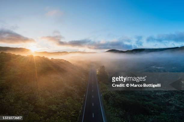 mountain road in the fog at sunrise, flores island, azores. - sunrise foto e immagini stock