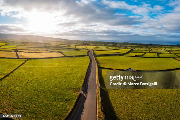 high angle view of road through farm fields, terceira, azores islands - 壮大な景観 ストックフォトと画像