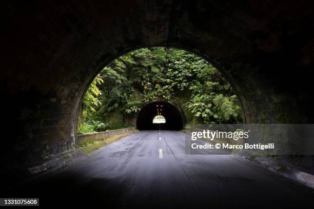 road tunnels in a forest, azores islands - túnel de carretera fotografías e imágenes de stock