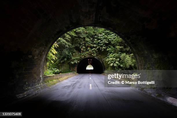 road tunnels in a forest, azores islands - tunnel photos et images de collection