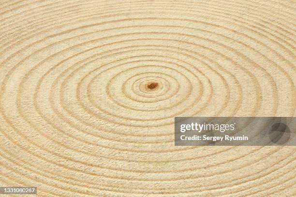 wooden texture - tree rings stock pictures, royalty-free photos & images