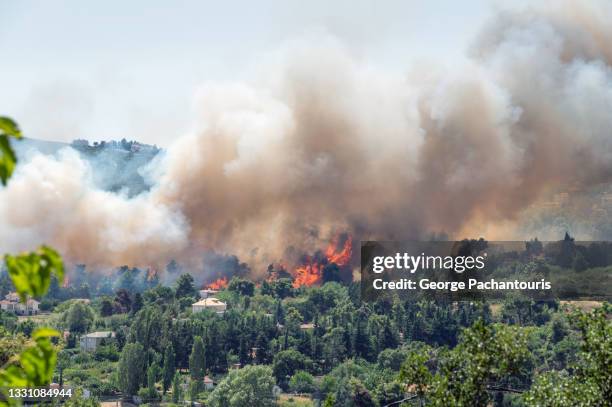 flames and smoke from a forest fire in the summer - forest fire stockfoto's en -beelden