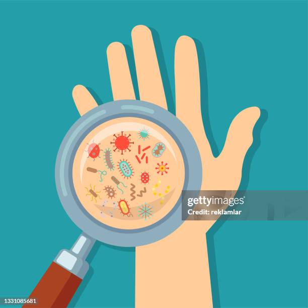 vector illustration of looking at germs and bacteria on hands with magnifying glass vector concept. bacteria under magnifying glass, hand washing and hygiene campaign poster. vector flat style cartoon illustration - hand washing cartoon stock illustrations