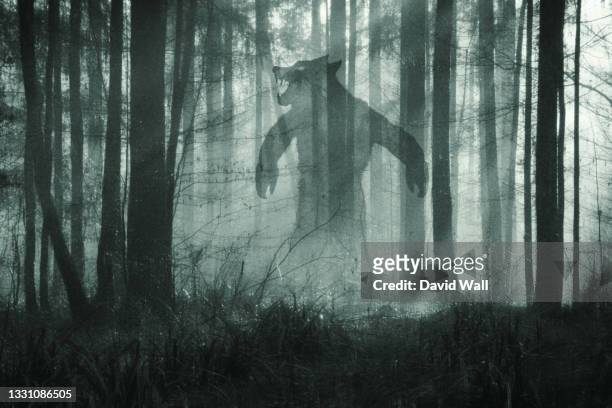 a horror concept.. of a giant werewolf, standing in a misty winter forest at night. with a grunge, textured edit. - werewolf stock-fotos und bilder