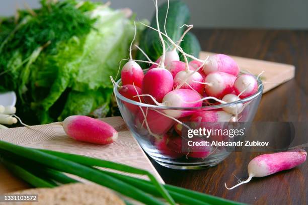 radish and green onions on a plate. next to the green salad. vegetables from the home garden. natural organic agricultural products from the farm. vegetarian, vegan and raw food food and diet. harvesting. home life. - radijs stockfoto's en -beelden