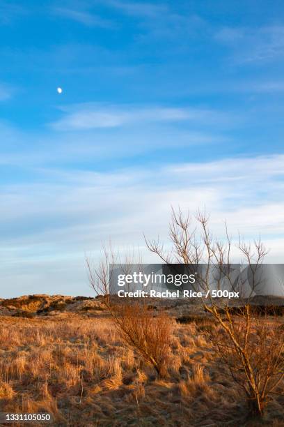 Balmide 1,159 Balmedie Stock Photos, High-Res Pictures, and Images - Getty Images