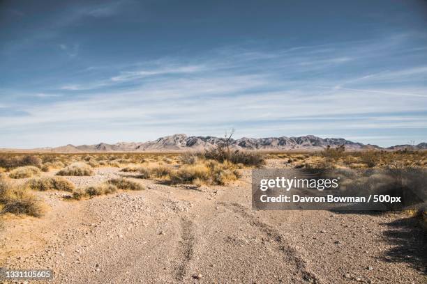 scenic view of desert against sky,valley of fire state park,united states,usa - valley of fire staatspark stock-fotos und bilder