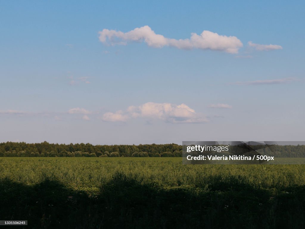 Scenic view of field against sky,Russia