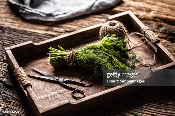 fresh green dill in wooden box on rustic oak table. - dill stock pictures, royalty-free photos & images