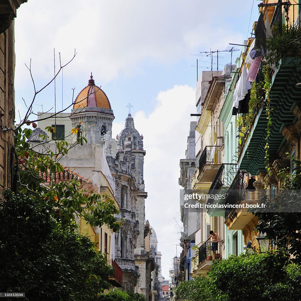 Hanging gardens