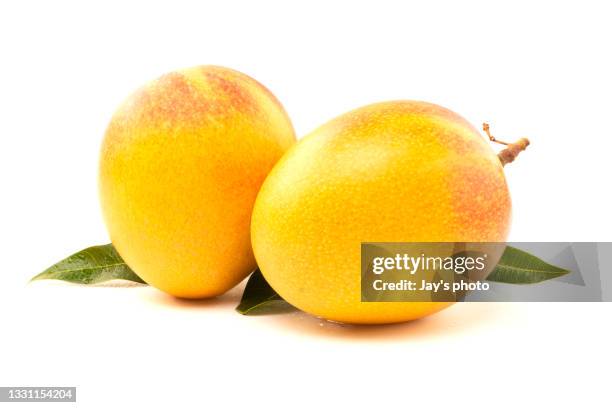 mango fruit with water drops on white background - mango stock-fotos und bilder