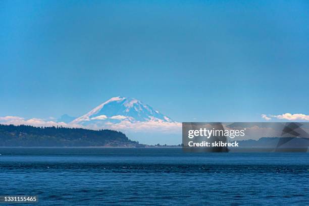 mount rainier from afar - puget sound stock pictures, royalty-free photos & images