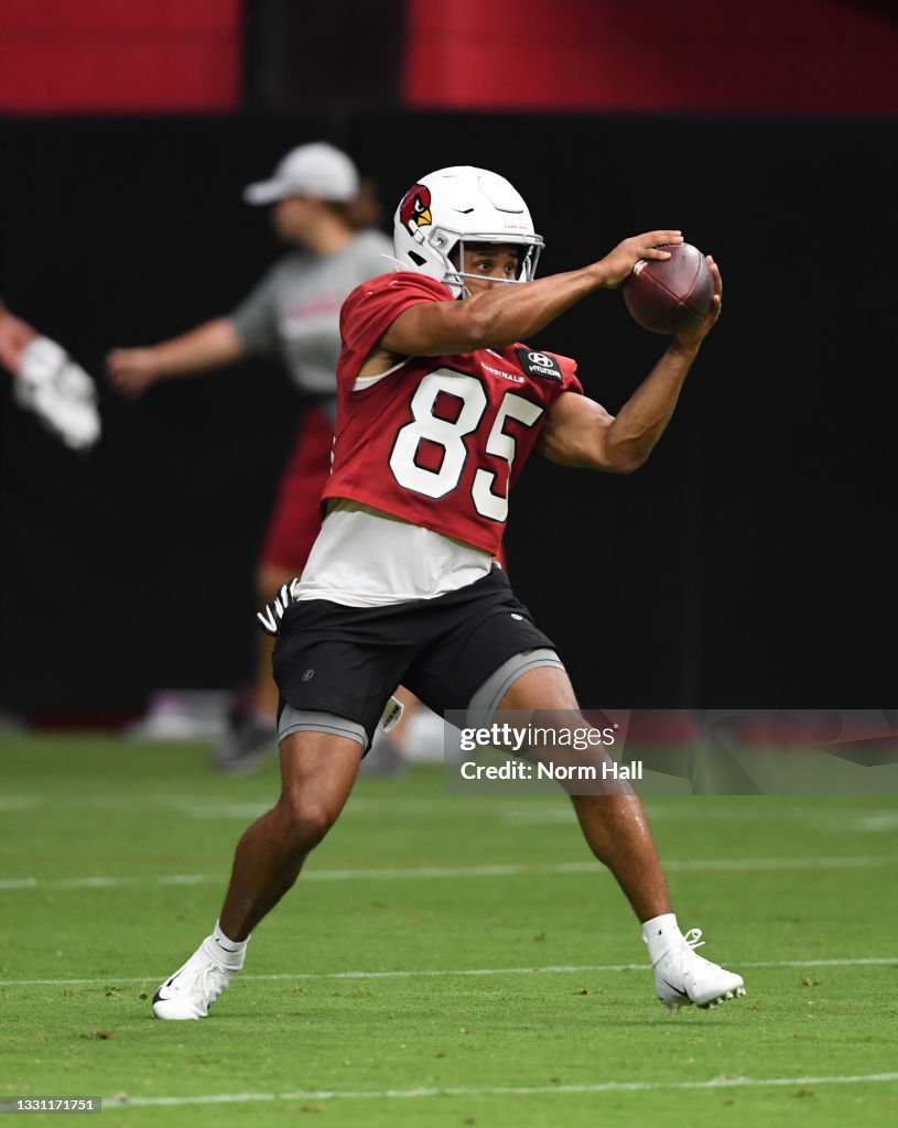 Arizona Cardinals Training Camp