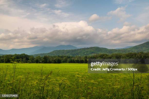 scenic view of field against sky,lambertville,new jersey,united states,usa - new jersey landscape stock pictures, royalty-free photos & images