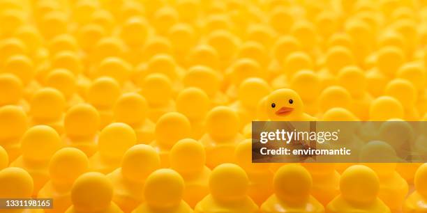 large group of yellow rubber ducks facing away from the camera with one duck, standing out from the crowd, on top of the other ducks, facing the opposite direction towards the camera. very shallow depth of field with the focus being on the different duck. - standing out from the crowd stock pictures, royalty-free photos & images