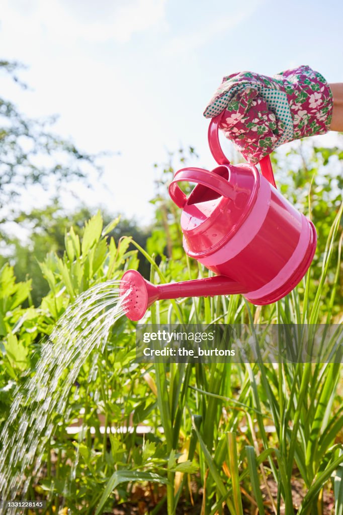 Woman watering plants in garden