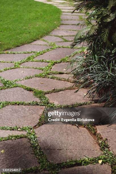 stone pathway on green grass - brick pathway stock pictures, royalty-free photos & images