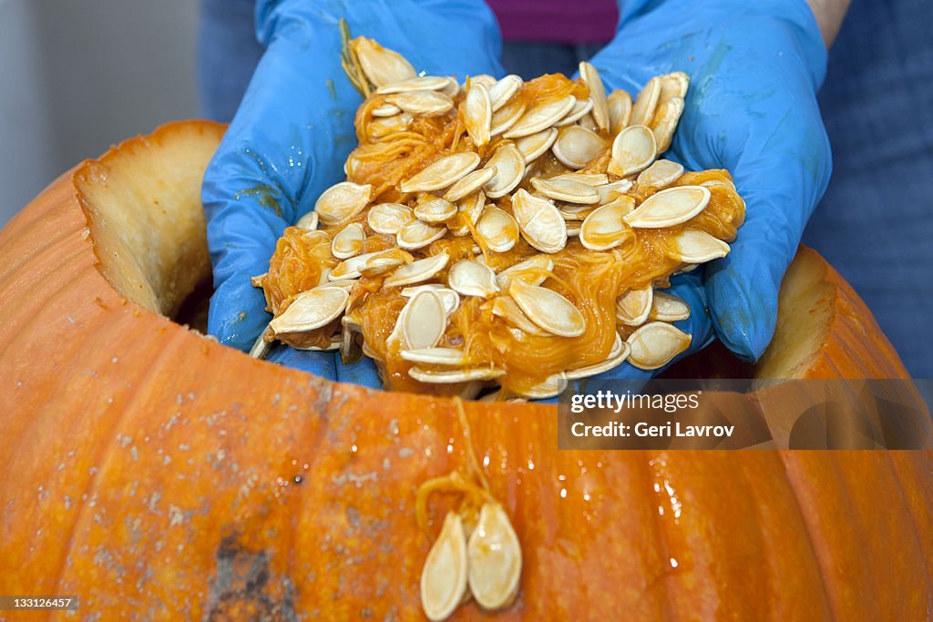 Person holding pumpkin seeds