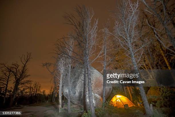 tent next to large boulder and ghostly forest killed by pine beetle. - laramie stock pictures, royalty-free photos & images