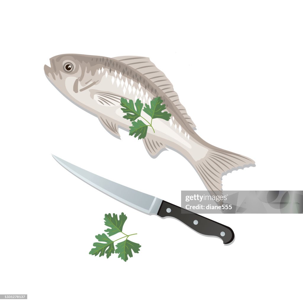 Simple Fish Illustrations on a White Background