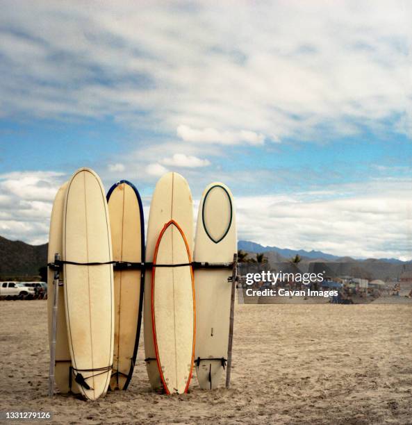 surfboards are stacked vertically on a sunny afternoon at a crowded beach. - pescadero stock pictures, royalty-free photos & images