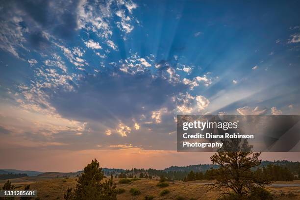 sunset near bozeman, montana - bozeman montana stock pictures, royalty-free photos & images