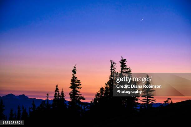 the crescent moon and venus just after sunset at obstruction point, olympic national park, washington state - port angeles washington state stock pictures, royalty-free photos & images