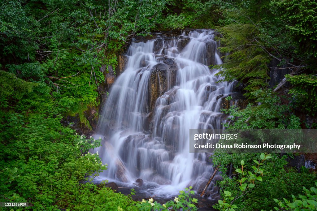 Fall Creek Falls along Stevens Canyon Road in Mt. Rainier National Park, Washington State