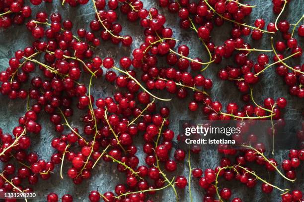 background of fresh summer red currants - groselha vermelha imagens e fotografias de stock