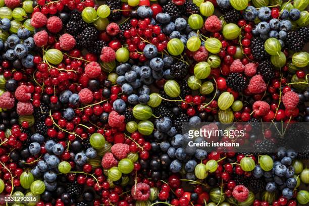 background of fresh summer berries fruits - casis fotografías e imágenes de stock
