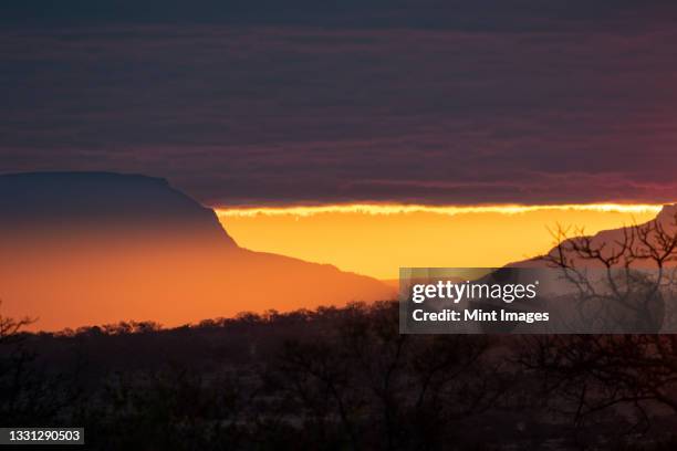 the hosizon at sunset, large mountains reveal golden light - sabi sands reserve stockfoto's en -beelden
