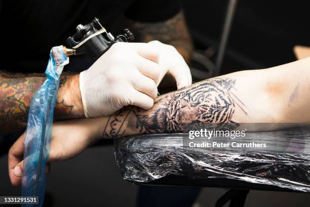 close-up of a male tattoo artist tattooing a tiger on a young man's arm - tiger image tattos stock pictures, royalty-free photos & images