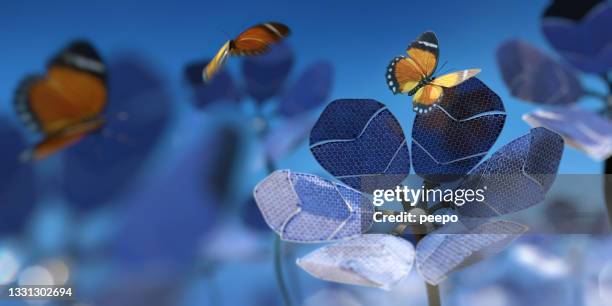 lots of solar panel flowers generating sustainable energy near butterflies - microgrid stock pictures, royalty-free photos & images